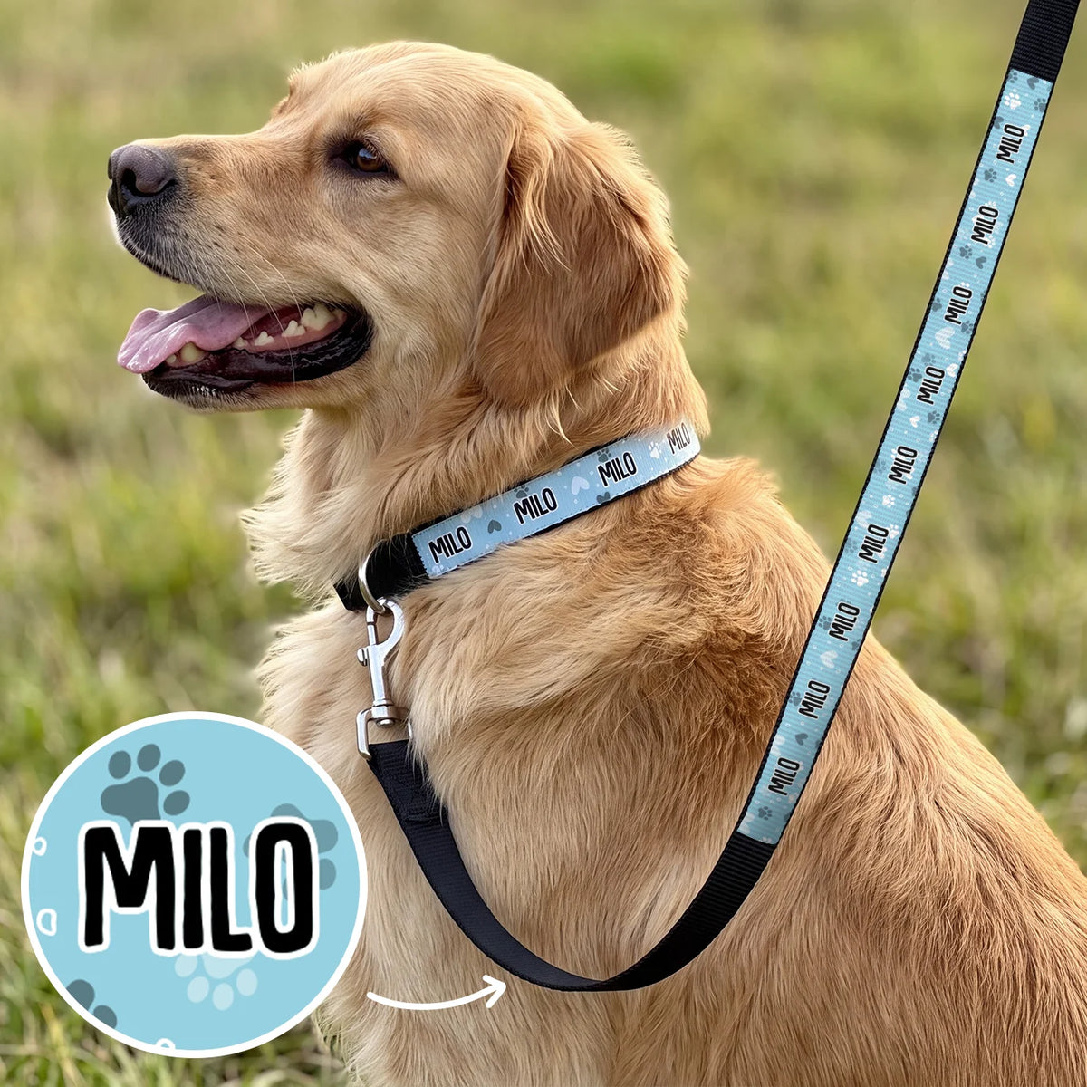 Personalized Dog Leash "Hearts" – personalisiertes Geschenk