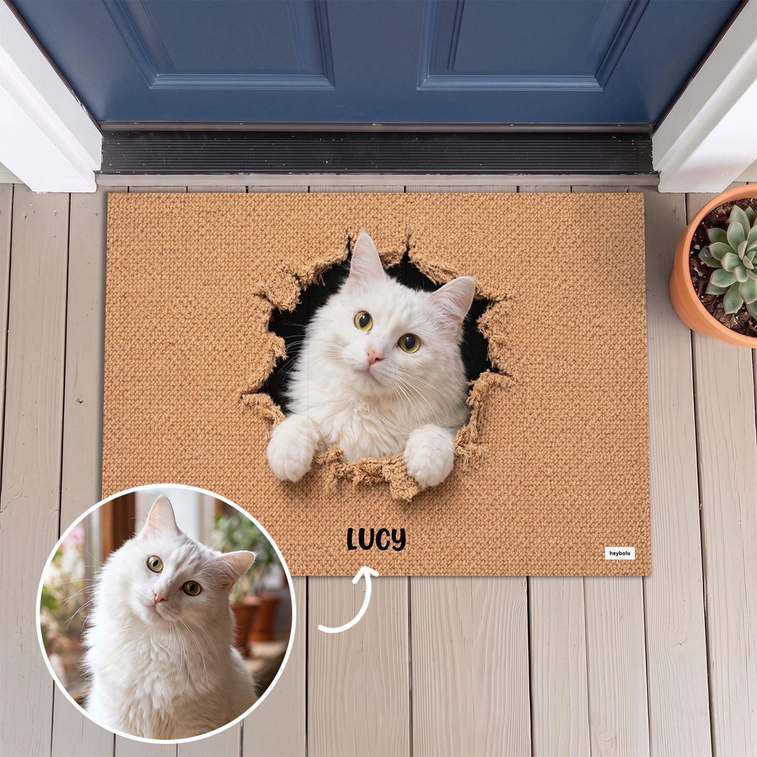 Personalized Cat Doormat "Breakthrough"