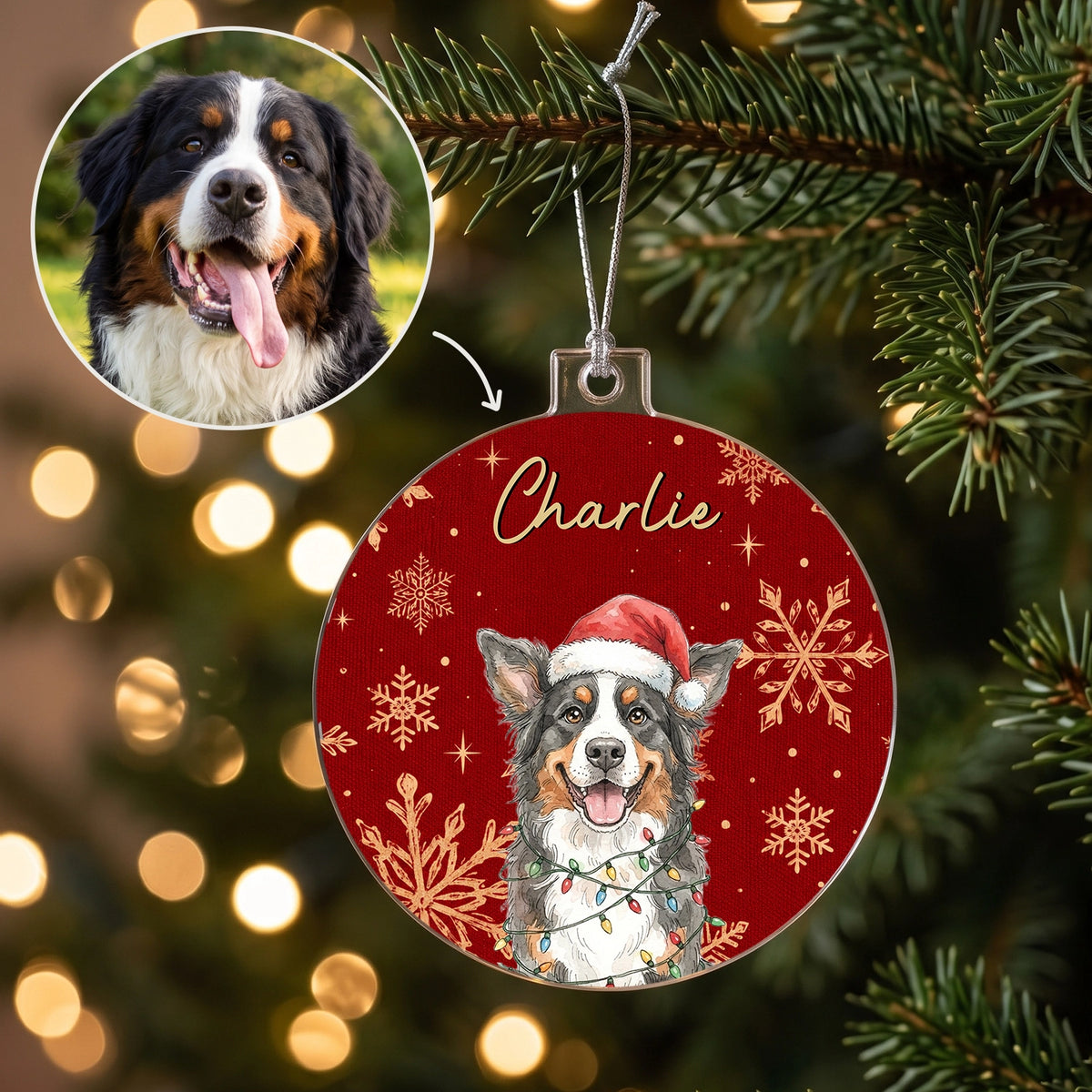 Personalized Christmas Ornament "Pet Photo" as a gift for pet lovers: Bernese Mountain Dog from a photo as a watercolor portrait in a Santa hat with string lights and the name Charlie on red, hey balu