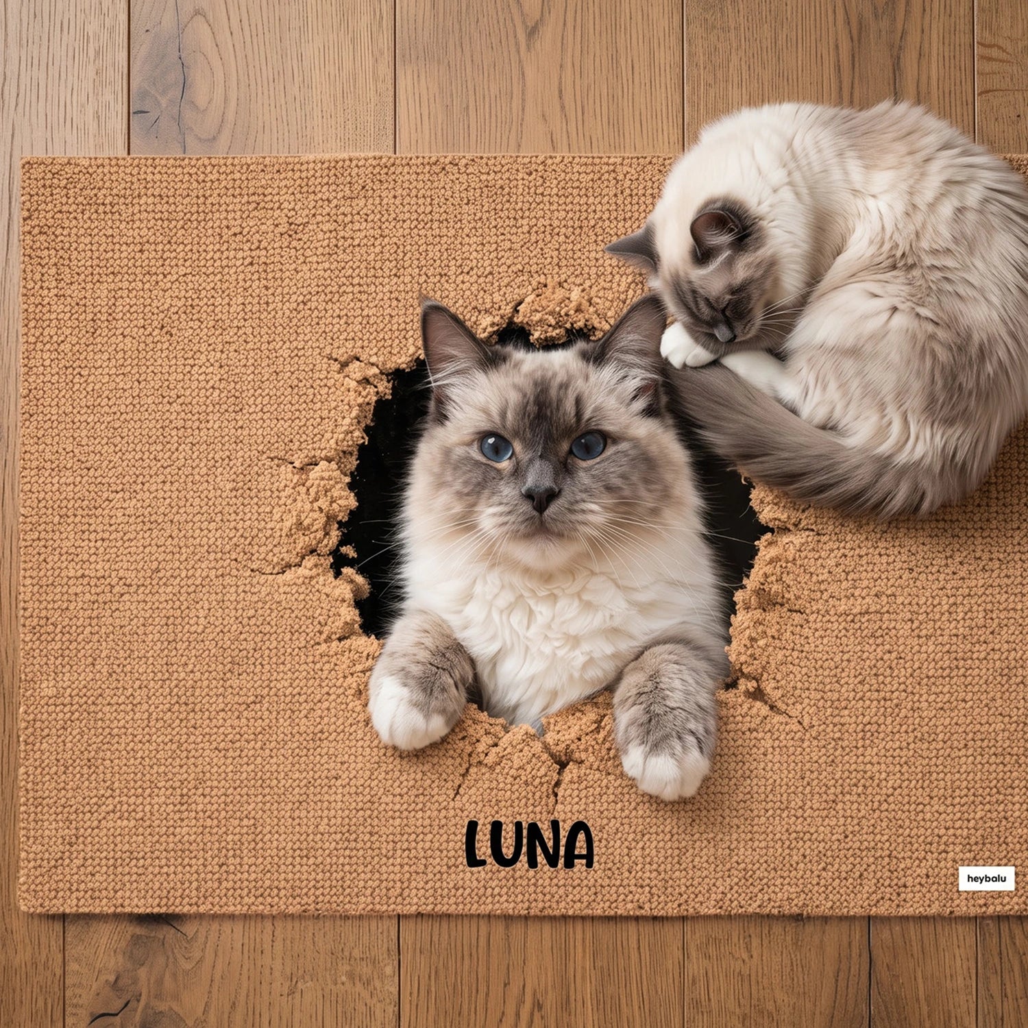 Personalized Cat Doormat "Breakthrough"