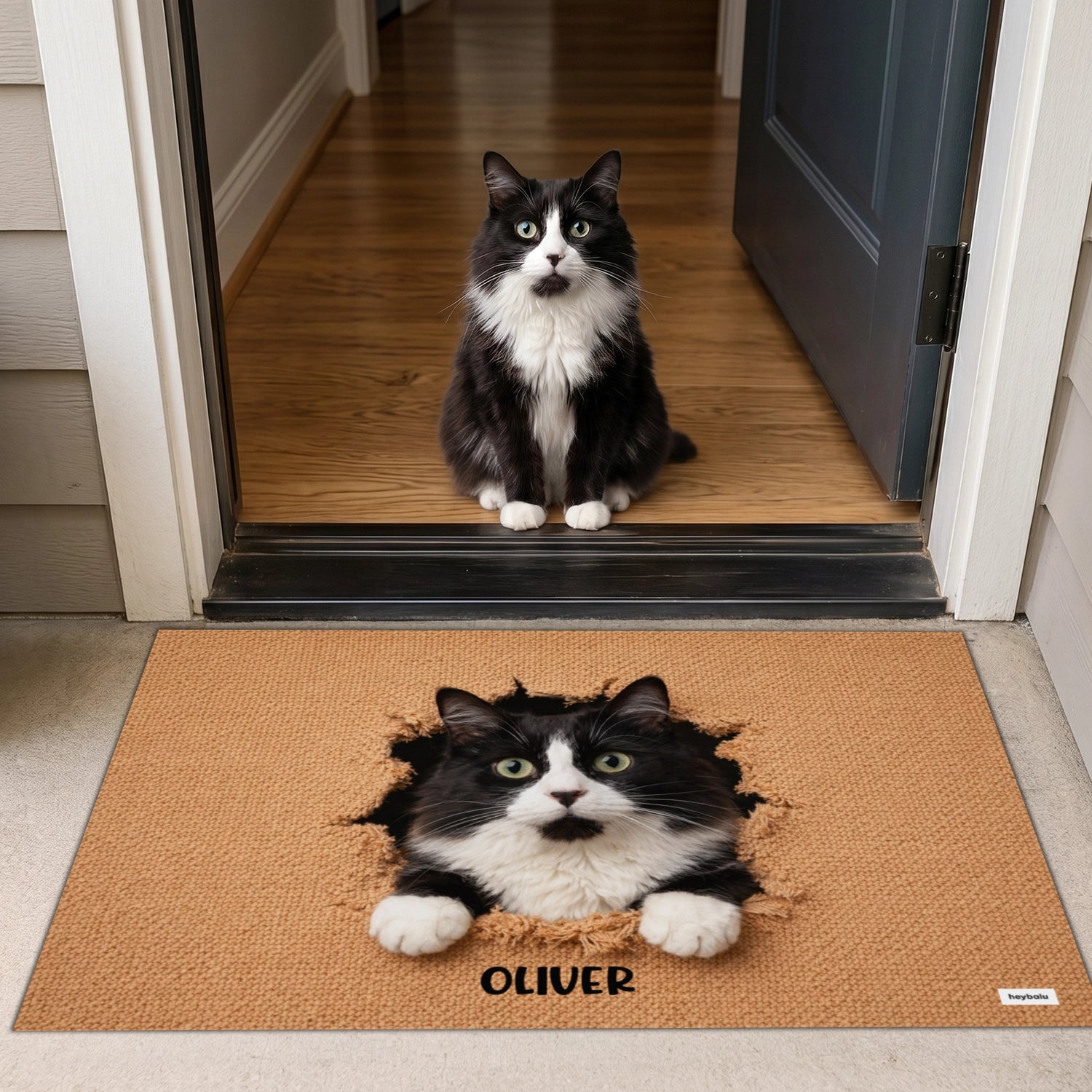 Personalized Cat Doormat "Breakthrough"