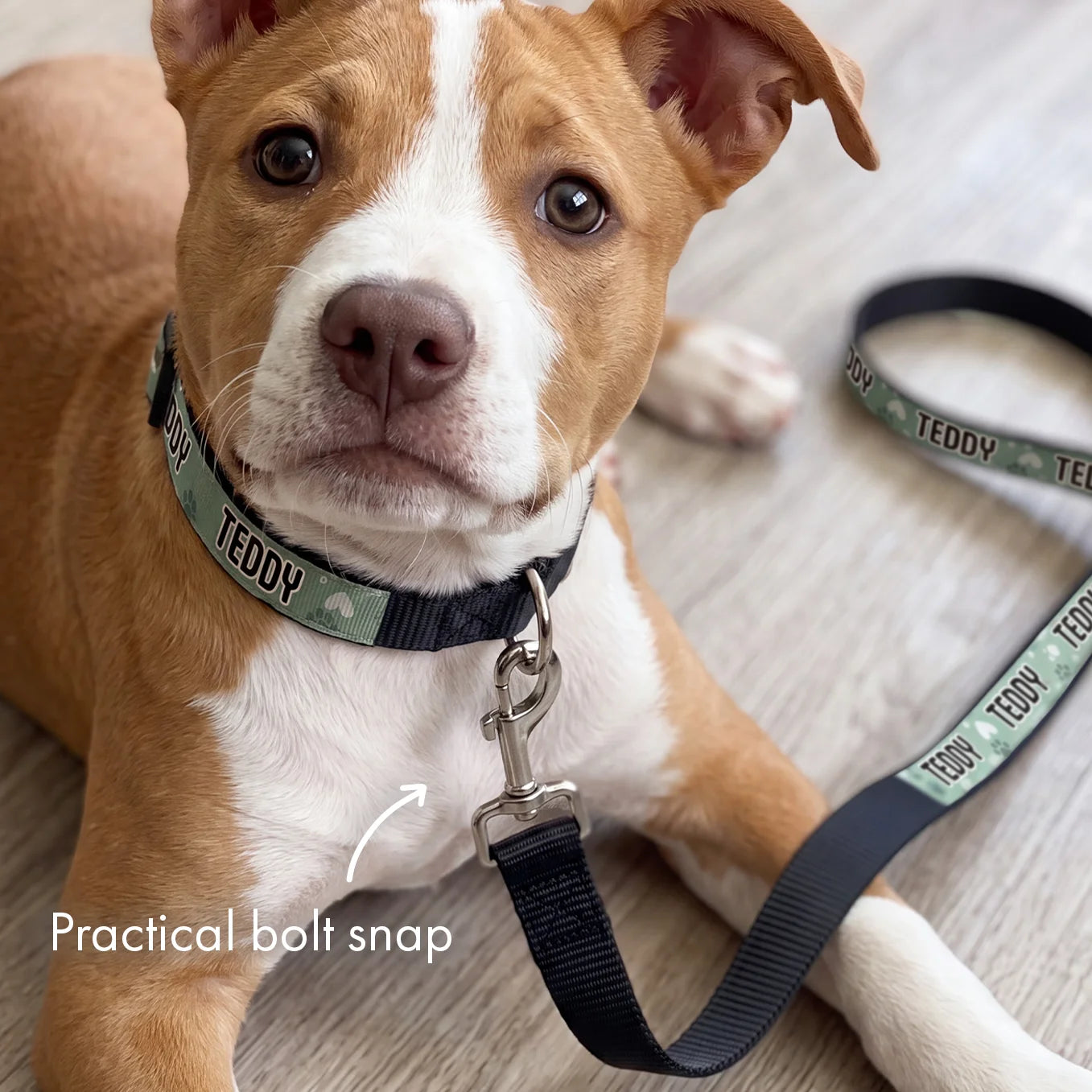 Personalized Dog Leash "Hearts"