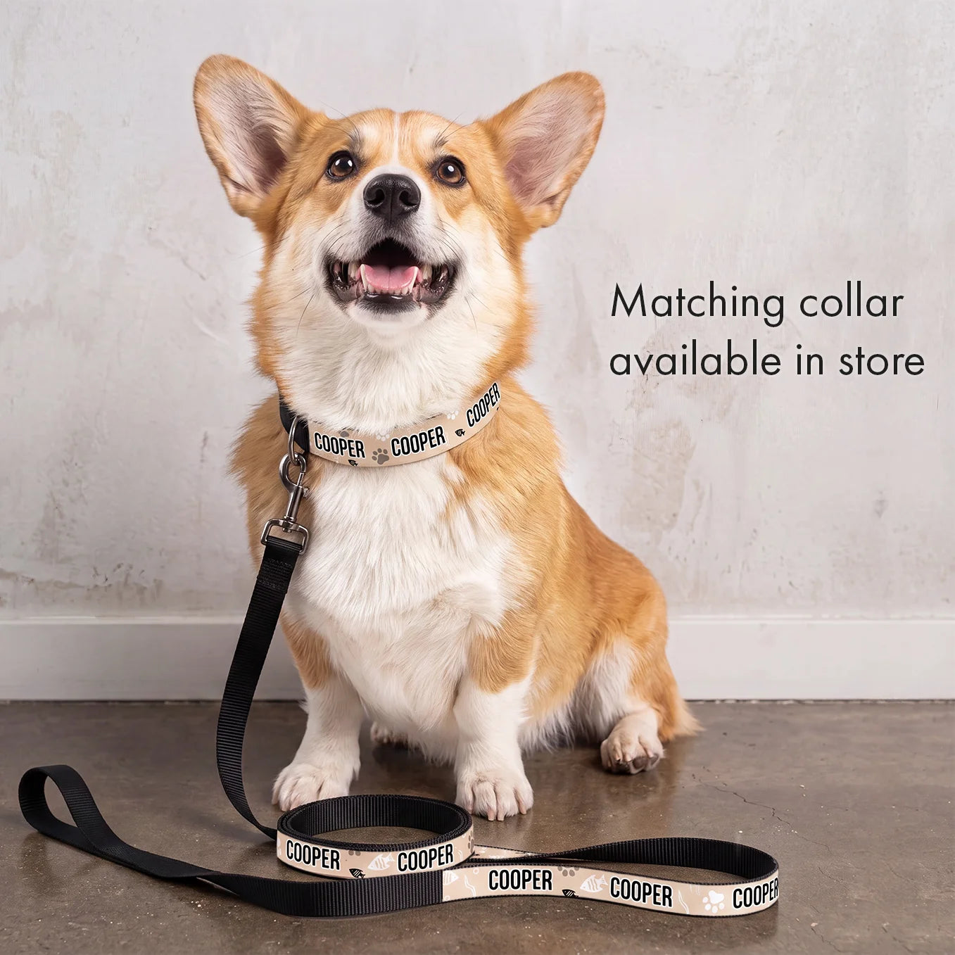 Personalized Dog Leash "Hearts"