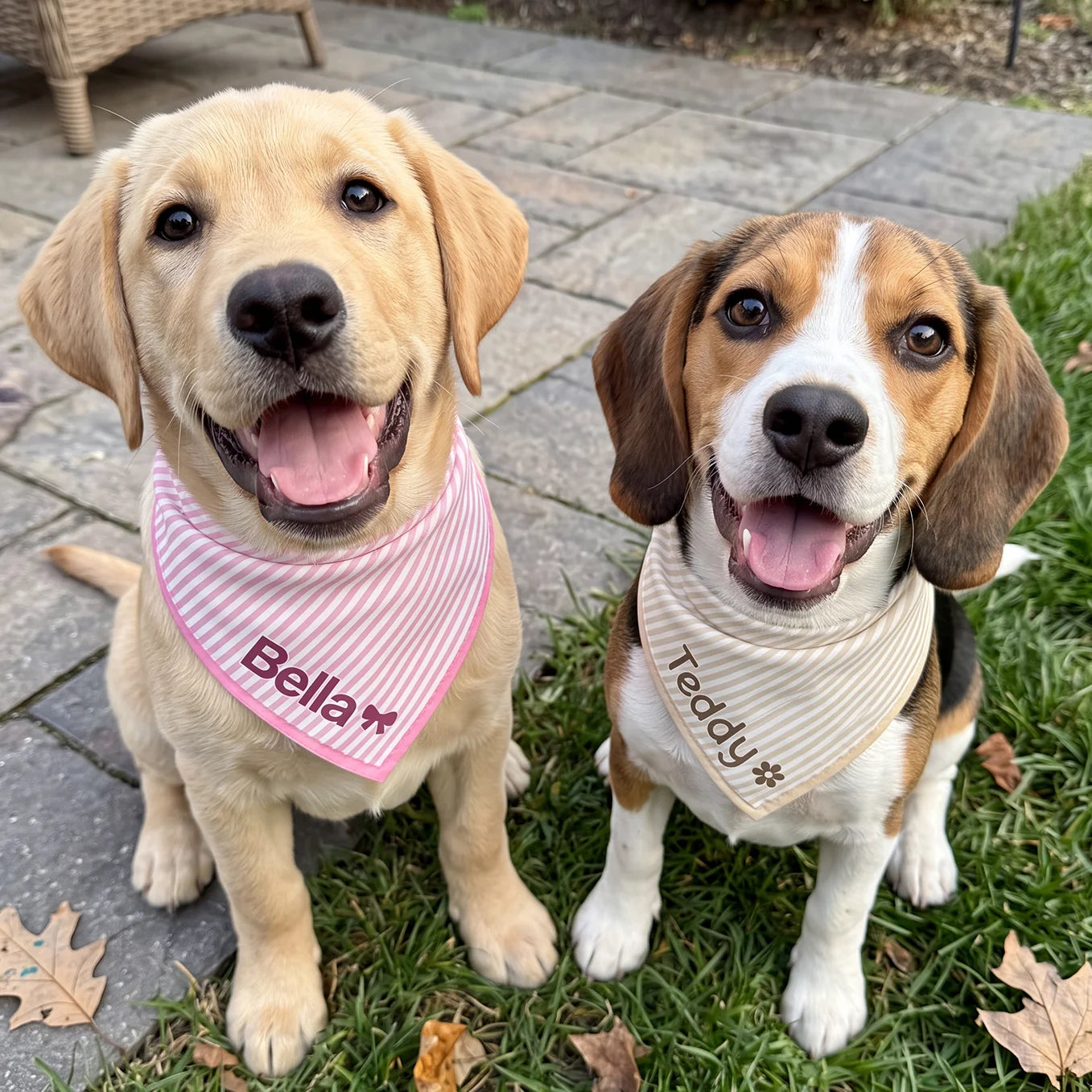 Personalized Dog Bandana "Stripes"