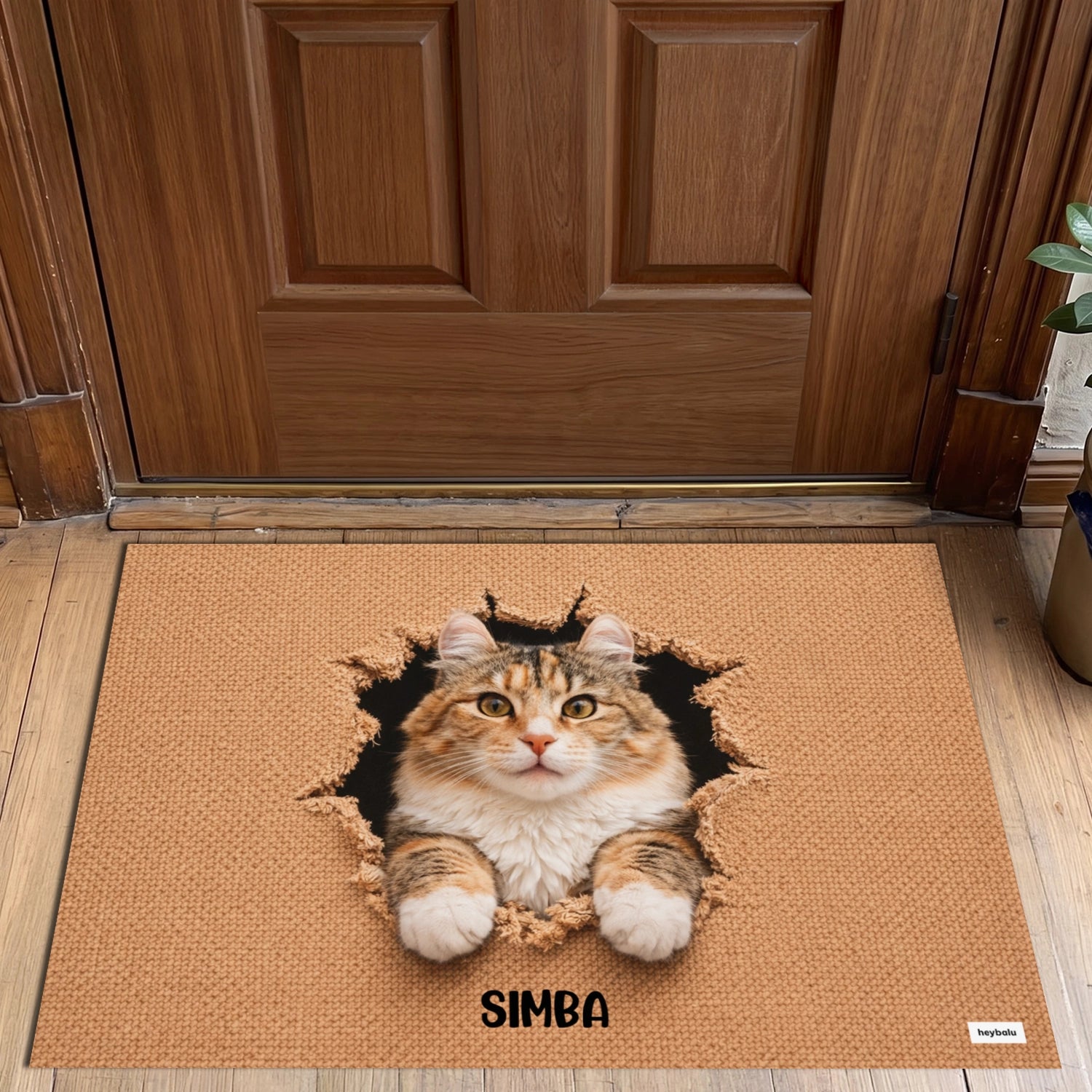 Personalized Cat Doormat "Breakthrough"