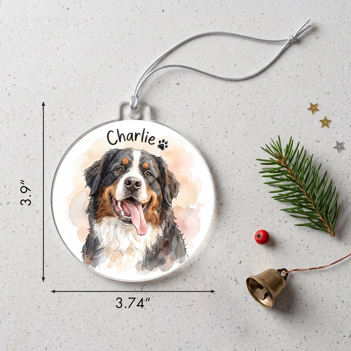 Bernese Mountain Dog ornament with the name Charlie, size 3.74" x 3.9"