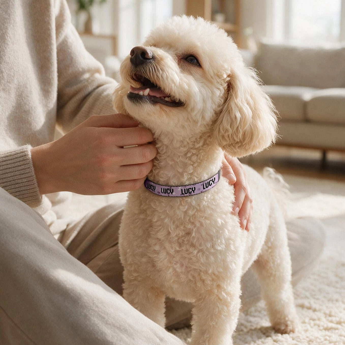 Personalized Dog Collar "Hearts"